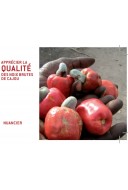 RONGEAD's RCN Quality Checker (2010) - French only